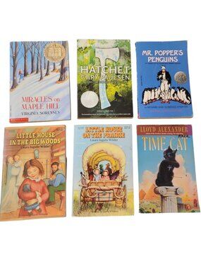 Award Winners Chapter Book Lot Children Kid Learning Read Teacher School Library
